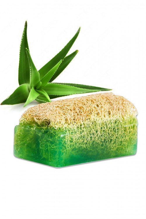 Doğal Kabak Lifli Aloe Vera Özlü Sabun
